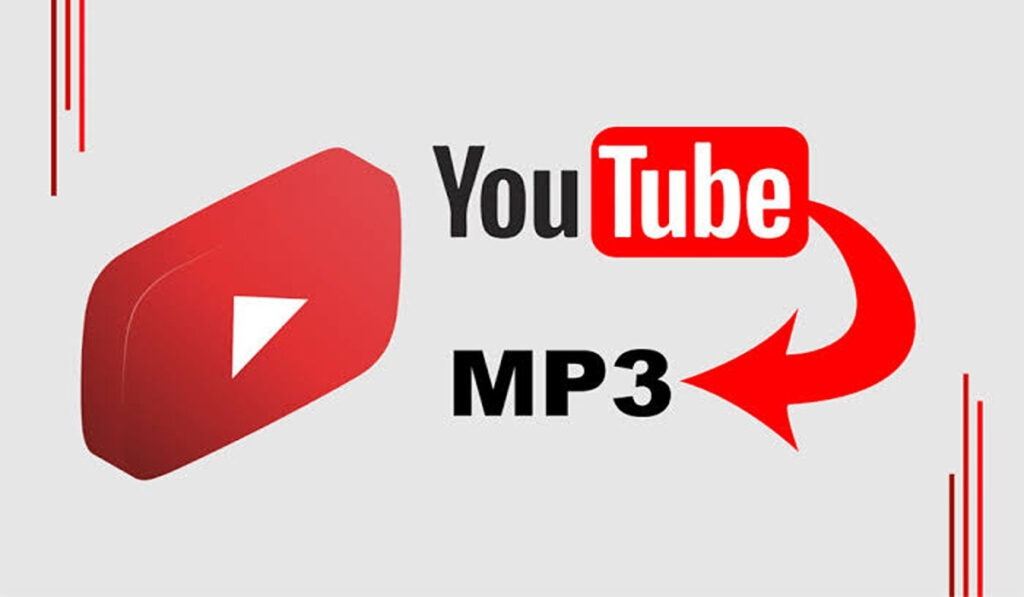 Important features of YT1