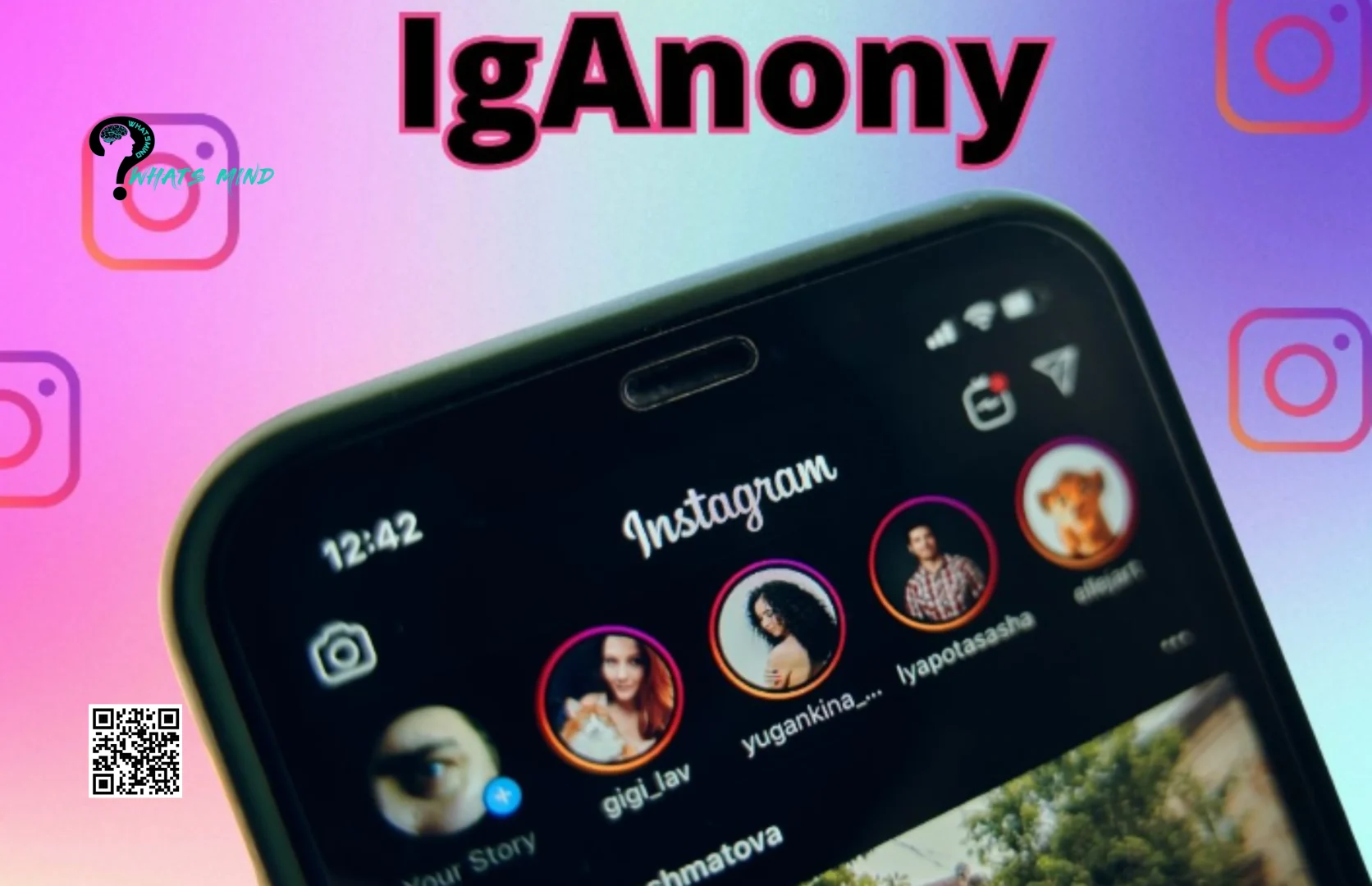 IgAnony: Understanding, Usage, Features, Benefits, Drawbacks, Alternatives