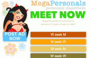 Mega Personal- A Hub of Lovers: Introduction,  Access, Features, Merits Demerits